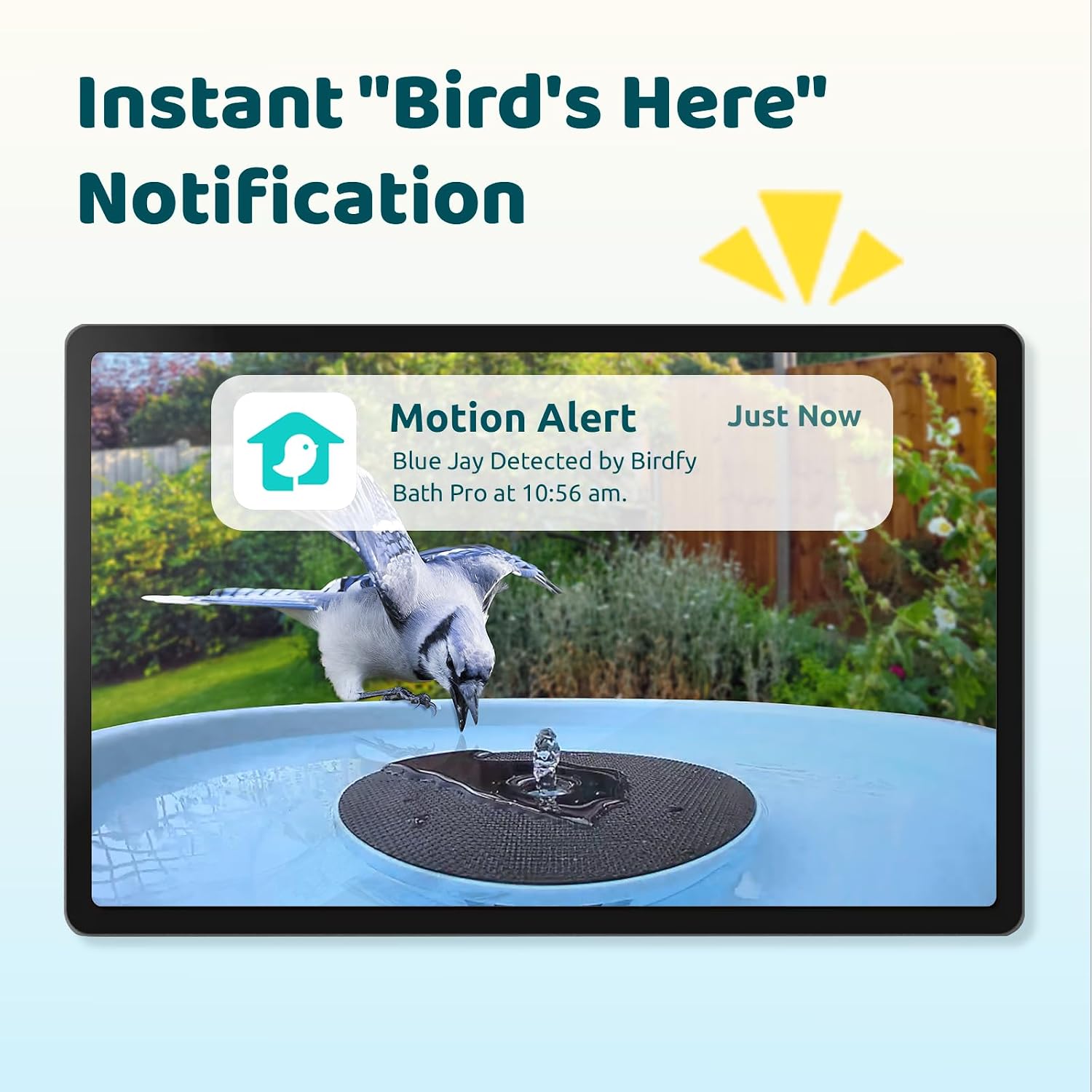 Solar Smart Bird Bath with Dual-Lens Camera & Fountain - AI Video Capture