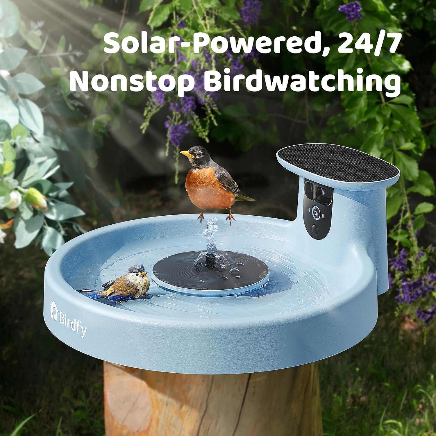 Solar Smart Bird Bath with Dual-Lens Camera & Fountain - AI Video Capture