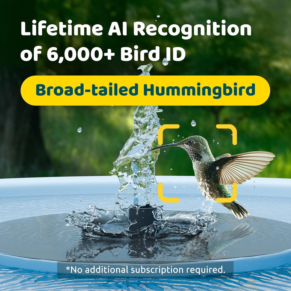 Solar Smart Bird Bath with Dual-Lens Camera & Fountain - AI Video Capture
